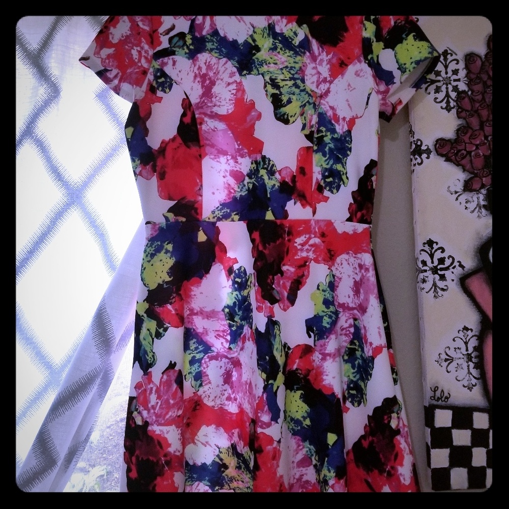 Milly for Target fit and flare dress